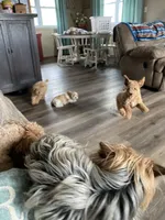 processed/2a4057bb-3a90-452f-947e-7077e9e80ba9/facility/4346dc10-3557-4194-9b29-7d7c06d6df1e