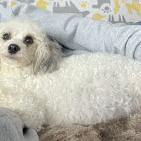 processed/2a4057bb-3a90-452f-947e-7077e9e80ba9/facility/574dc673-134b-4269-8964-5c1a2901e395