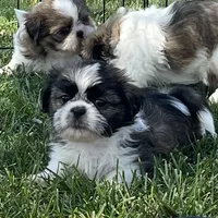 processed/2a4057bb-3a90-452f-947e-7077e9e80ba9/facility/83b4da75-2a46-45fd-8f93-77b80f140e16