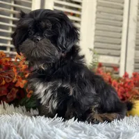 processed/2a4057bb-3a90-452f-947e-7077e9e80ba9/facility/a4c3e60e-6b2c-42b4-a748-a13543c8fd07