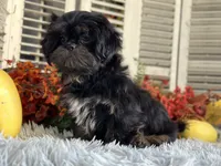 processed/2a4057bb-3a90-452f-947e-7077e9e80ba9/facility/a4c3e60e-6b2c-42b4-a748-a13543c8fd07