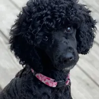 processed/2a4057bb-3a90-452f-947e-7077e9e80ba9/facility/ab54373c-95b7-4ce5-81c2-9c3f5d8443ab