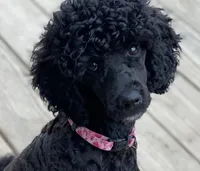 processed/2a4057bb-3a90-452f-947e-7077e9e80ba9/facility/ab54373c-95b7-4ce5-81c2-9c3f5d8443ab