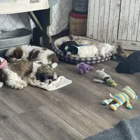 processed/2a4057bb-3a90-452f-947e-7077e9e80ba9/facility/f1613f07-341d-488c-b3ad-1e3067ba915a