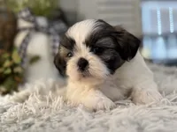 processed/2a4057bb-3a90-452f-947e-7077e9e80ba9/listing/2661aaa6-9c0f-4912-b632-2543109ea3fa/6498b125-bc7a-4965-9070-bd7fb4f8e12a