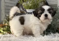 processed/2a4057bb-3a90-452f-947e-7077e9e80ba9/listing/2661aaa6-9c0f-4912-b632-2543109ea3fa/82295f7f-ad31-4b08-ad8e-ca1e6ef24a9e