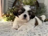 processed/2a4057bb-3a90-452f-947e-7077e9e80ba9/listing/2661aaa6-9c0f-4912-b632-2543109ea3fa/b464b0ec-ce97-458f-8a30-9b0c892200c8