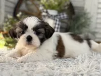 processed/2a4057bb-3a90-452f-947e-7077e9e80ba9/listing/2661aaa6-9c0f-4912-b632-2543109ea3fa/d00fb207-a5c1-46e3-bab5-9f98be365b09