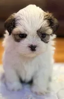 processed/2a41c91a-c144-406e-89c5-5d55911b0ca0/listing/b394c95a-20df-49c4-b989-5a661a5f7a60/04254c38-54aa-47a3-900f-355b846bb0de