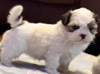 processed/2a41c91a-c144-406e-89c5-5d55911b0ca0/listing/b394c95a-20df-49c4-b989-5a661a5f7a60/0d710e53-ba96-4f90-84fd-8eb043c26a3f