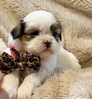 processed/2a41c91a-c144-406e-89c5-5d55911b0ca0/listing/b394c95a-20df-49c4-b989-5a661a5f7a60/3aac89c2-f031-4242-9b34-a1dfdf36b32e