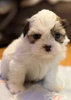 processed/2a41c91a-c144-406e-89c5-5d55911b0ca0/listing/b394c95a-20df-49c4-b989-5a661a5f7a60/5dba3e1b-f4d6-453f-88a5-ba1c6f79146c