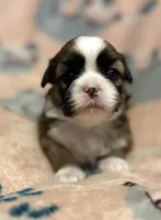 processed/2a41c91a-c144-406e-89c5-5d55911b0ca0/listing/d90c82b0-3cd2-426f-b0a0-9ed208230dd6/23831ad2-7b6a-49e9-9834-69f2103033cc