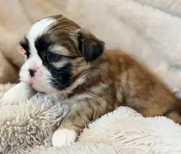 processed/2a41c91a-c144-406e-89c5-5d55911b0ca0/listing/d90c82b0-3cd2-426f-b0a0-9ed208230dd6/39ed994e-e9c1-41e4-9299-de20331f8063