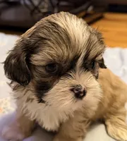 processed/2a41c91a-c144-406e-89c5-5d55911b0ca0/listing/d90c82b0-3cd2-426f-b0a0-9ed208230dd6/595475d0-b91c-4690-b987-c359e4a6f4b2