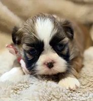 processed/2a41c91a-c144-406e-89c5-5d55911b0ca0/listing/d90c82b0-3cd2-426f-b0a0-9ed208230dd6/87ba21e8-4e7c-41ed-924b-97aa8ec92b2d