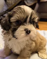 processed/2a41c91a-c144-406e-89c5-5d55911b0ca0/listing/d90c82b0-3cd2-426f-b0a0-9ed208230dd6/8c2c82b8-9f9f-41a3-934b-a6ed57a43788