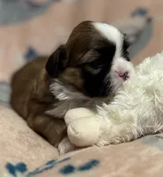 processed/2a41c91a-c144-406e-89c5-5d55911b0ca0/listing/d90c82b0-3cd2-426f-b0a0-9ed208230dd6/afaeb291-2ce1-4526-bc89-58600a6ec8f6