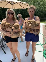 processed/2a469126-b986-40ff-9e8c-153432561585/facility/97d17a39-0e42-4465-95b0-6f20f2403a1d