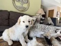 processed/2a469126-b986-40ff-9e8c-153432561585/listing/4cdc2655-1231-4353-bb23-f8d6f4aecf92/1e0c6fce-3e30-4562-be5c-72f109473108