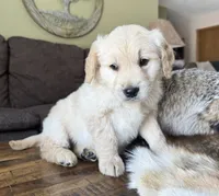 processed/2a469126-b986-40ff-9e8c-153432561585/listing/4cdc2655-1231-4353-bb23-f8d6f4aecf92/4d68bb27-506c-4c16-bb5a-e99e8a6680b2