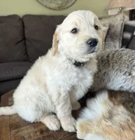 processed/2a469126-b986-40ff-9e8c-153432561585/listing/4cdc2655-1231-4353-bb23-f8d6f4aecf92/704f37e1-ed2f-473f-9041-4c8d5d4ba87b