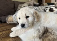 processed/2a469126-b986-40ff-9e8c-153432561585/listing/4cdc2655-1231-4353-bb23-f8d6f4aecf92/78b9c1f7-597a-4439-b4f5-2f6020bb6bef