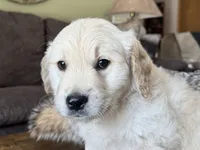 processed/2a469126-b986-40ff-9e8c-153432561585/listing/4cdc2655-1231-4353-bb23-f8d6f4aecf92/8bad8271-38b1-44b0-9800-865703741cc8