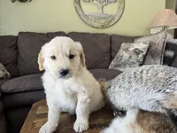 processed/2a469126-b986-40ff-9e8c-153432561585/listing/4cdc2655-1231-4353-bb23-f8d6f4aecf92/dac6d408-34c7-41ab-8c4a-f615582b9eec