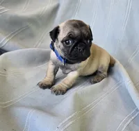 processed/2a4fb388-7b14-4d0c-b5f5-b004d17982bb/listing/19cc3554-da01-48f4-9510-c9f971f54688/e7b8f37a-8ebe-4654-b2bd-0d9f973ca057