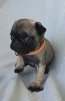 processed/2a4fb388-7b14-4d0c-b5f5-b004d17982bb/listing/1f37b61f-341d-4eeb-bf87-71dbce4163b9/102fd03e-0324-4042-a5d8-815515edee08