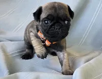 processed/2a4fb388-7b14-4d0c-b5f5-b004d17982bb/listing/1f37b61f-341d-4eeb-bf87-71dbce4163b9/e16fbda2-42d1-42c7-8ada-fe249deba5c6