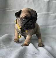 processed/2a4fb388-7b14-4d0c-b5f5-b004d17982bb/listing/55c4c8d5-f0c8-4bb3-bb6f-b14d507aba8e/a8944706-b5f2-46ed-8dbe-7802e5538dca