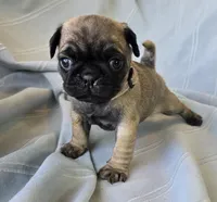 processed/2a4fb388-7b14-4d0c-b5f5-b004d17982bb/listing/74d4bfa1-687b-4076-ac7c-471eebd790a6/39a563ff-e0a0-45fd-8087-16fbca358932