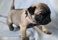 processed/2a4fb388-7b14-4d0c-b5f5-b004d17982bb/listing/74d4bfa1-687b-4076-ac7c-471eebd790a6/4a73a92a-caa4-4f9b-9dc7-600a77f440d9