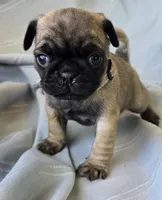 processed/2a4fb388-7b14-4d0c-b5f5-b004d17982bb/listing/74d4bfa1-687b-4076-ac7c-471eebd790a6/93db5f03-7100-4a1a-b63a-255c97a7669f