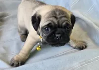 processed/2a4fb388-7b14-4d0c-b5f5-b004d17982bb/listing/8dd49a89-27d7-4986-b29e-f24d833771ff/372f05dc-283e-43d6-afa6-add5ad03e92b