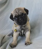 processed/2a4fb388-7b14-4d0c-b5f5-b004d17982bb/listing/8dd49a89-27d7-4986-b29e-f24d833771ff/eed1e391-6742-4d31-9989-01dfd7bf7d06