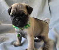 processed/2a4fb388-7b14-4d0c-b5f5-b004d17982bb/listing/bb1d5d02-583c-4d92-b901-9f0846df0e42/35b6bff3-c269-4ac1-8956-1fe7c9bcfd11