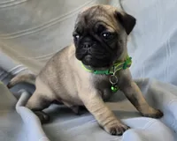 processed/2a4fb388-7b14-4d0c-b5f5-b004d17982bb/listing/bb1d5d02-583c-4d92-b901-9f0846df0e42/8792799a-49f1-4969-a95d-2afb3a7280c3