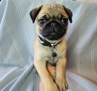 processed/2a4fb388-7b14-4d0c-b5f5-b004d17982bb/listing/eec3e510-68d6-4dc8-812a-f58c34fdf213/6a657098-95fa-42f2-a37d-c456eeab9721