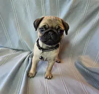 processed/2a4fb388-7b14-4d0c-b5f5-b004d17982bb/listing/eec3e510-68d6-4dc8-812a-f58c34fdf213/d9192e97-2da6-4abd-b610-2b9e470affff