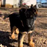 processed/2a71a738-9268-4415-879d-732ee3dba16d/facility/0609bd15-fc1a-4825-a219-5830b9a0bb3d