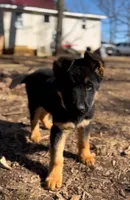 processed/2a71a738-9268-4415-879d-732ee3dba16d/facility/0609bd15-fc1a-4825-a219-5830b9a0bb3d