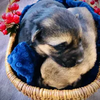 processed/2a71a738-9268-4415-879d-732ee3dba16d/facility/4290c966-2432-45ed-8059-7b198e64cbca