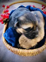 processed/2a71a738-9268-4415-879d-732ee3dba16d/facility/4290c966-2432-45ed-8059-7b198e64cbca