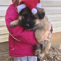 processed/2a71a738-9268-4415-879d-732ee3dba16d/facility/4ee0ce6d-3ca9-4995-bbb9-014e6f4a7a5b