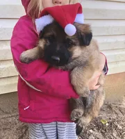 processed/2a71a738-9268-4415-879d-732ee3dba16d/facility/4ee0ce6d-3ca9-4995-bbb9-014e6f4a7a5b