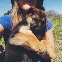 processed/2a71a738-9268-4415-879d-732ee3dba16d/facility/a40f280d-dcbe-48cc-af71-ccf15658bb11