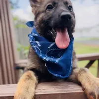 processed/2a71a738-9268-4415-879d-732ee3dba16d/facility/ceefe94a-e91c-435c-852c-9dbc99d65c03